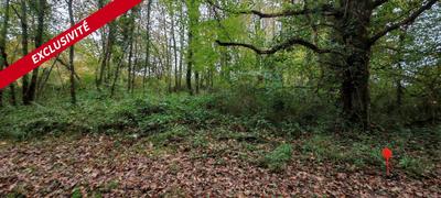 Terrain constructible - 2 487 m²