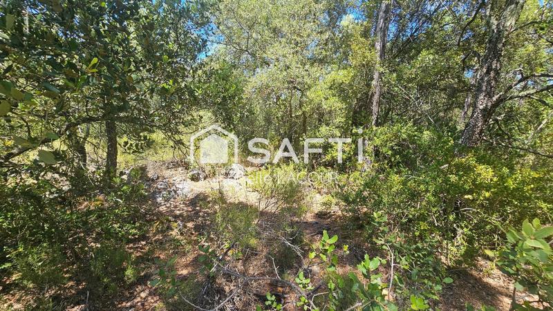 Terrain agricole - 40 755 m²