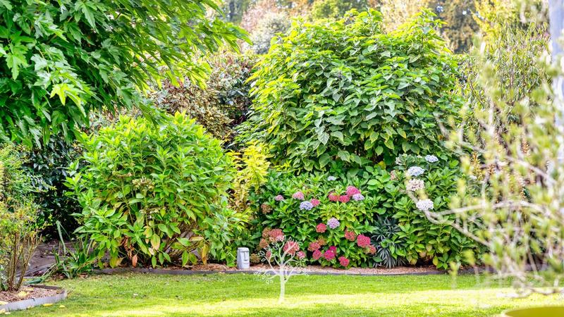 Maison d'architecte - 190 m² - 5 pièces