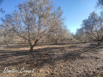 Terrain agricole - 3 000 m²