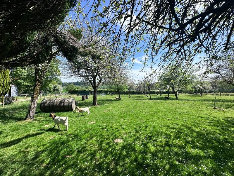 Maison en pierre - 244 m² - 7 pièces