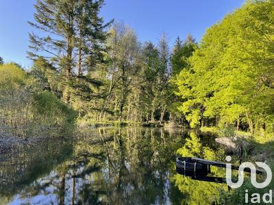 Terrain - 54 604 m²