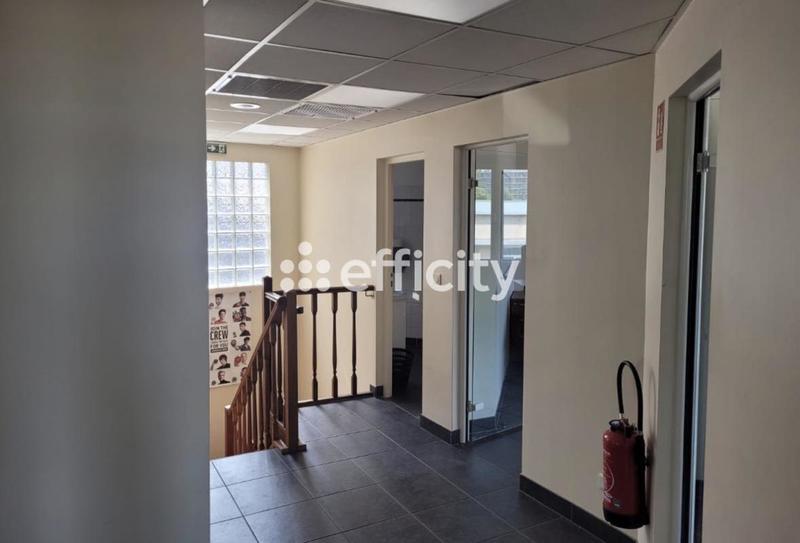 Bureau - 196 m² - 12 pièces