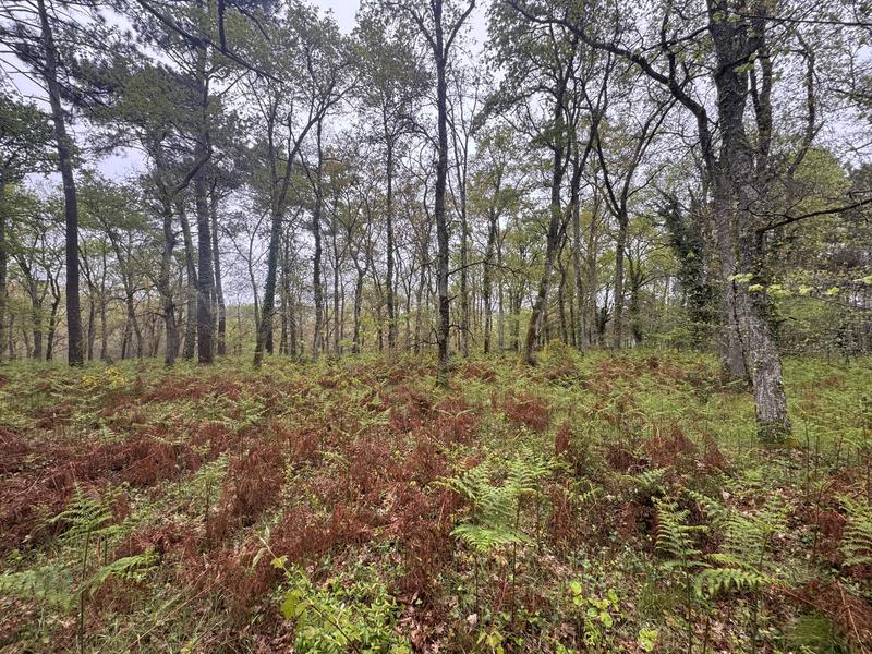 Terrain - 48 400 m²