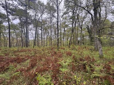 Terrain - 48 400 m²