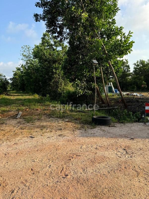 Maison de bois - 79 m² - 3 pièces