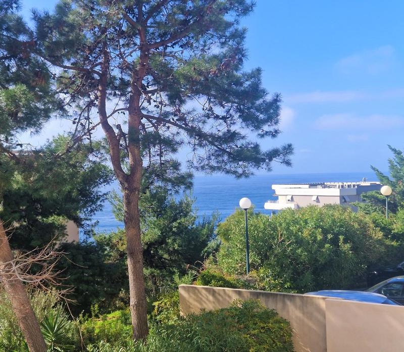 Appartement - 55 m² - 2 pièces