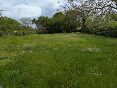 Terrain constructible - 1 078 m²