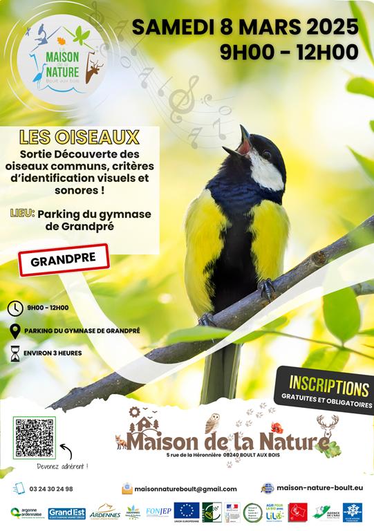 Les oiseaux, reconnaissance et chants