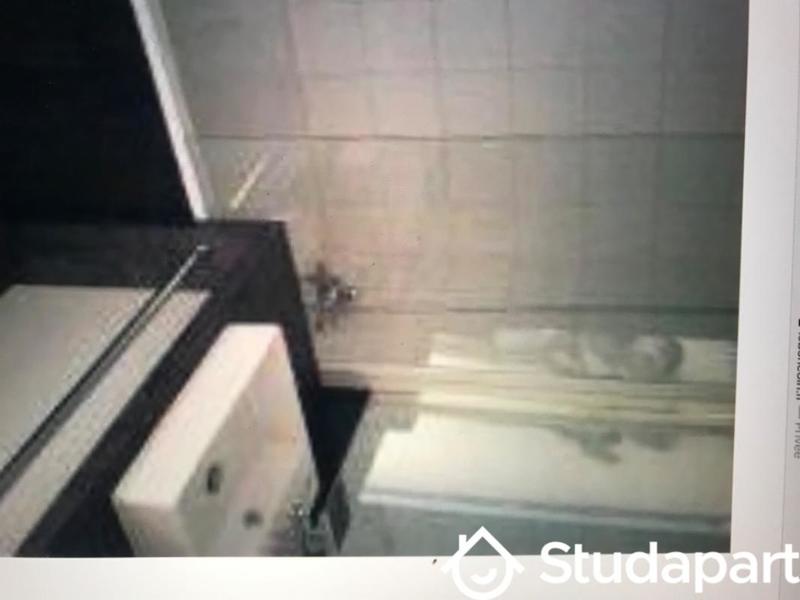 Appartement - 24 m² - 1 pièce