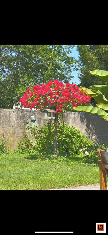 Villa - 189 m² - 7 pièces