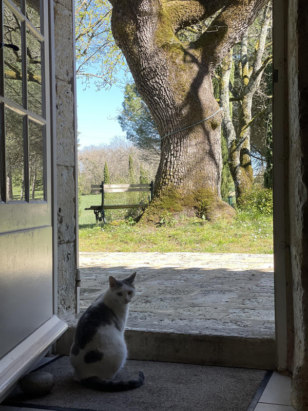 Maison - 428 m² - 15 pièces