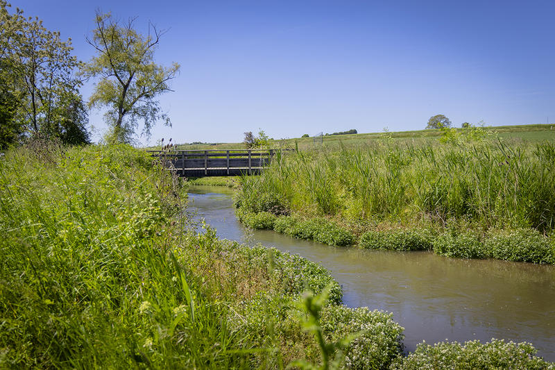 Escapade Nature &amp; Géants