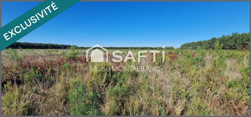 Terrain - 16 696 m²