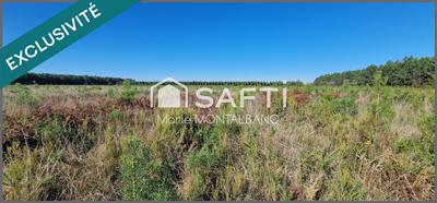 Terrain - 16 696 m²