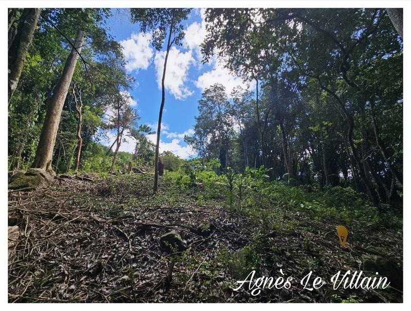 Terrain constructible - 3 502 m²