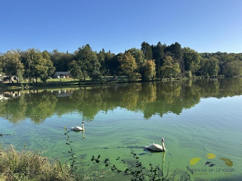 Propriété - 172 m² - 5 pièces