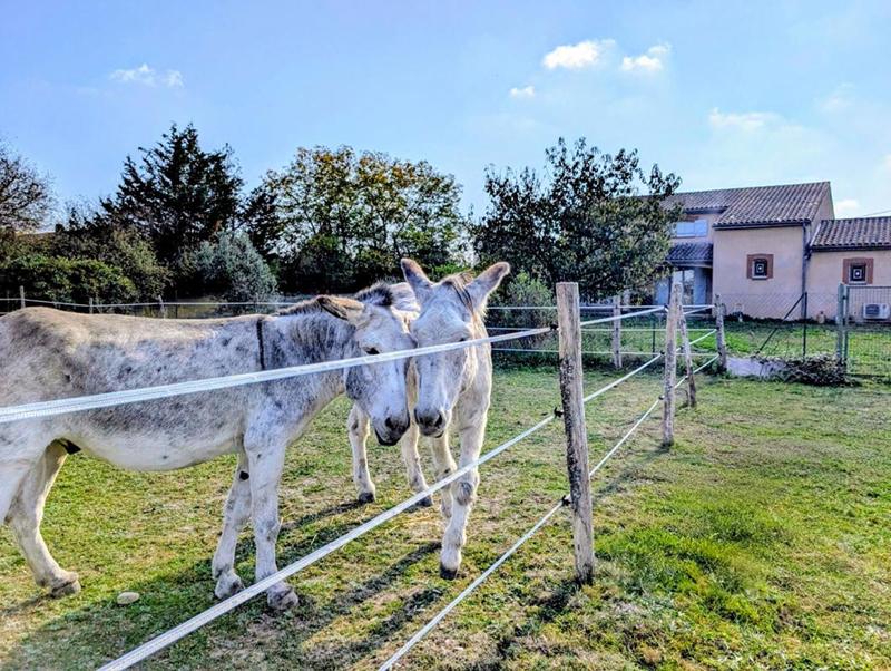 Maison - 165 m² - 6 pièces