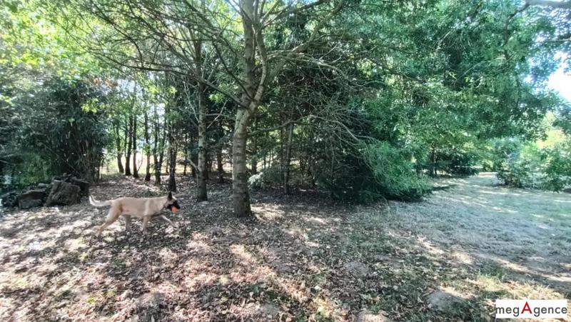 Maison en pierre - 140 m² - 5 pièces