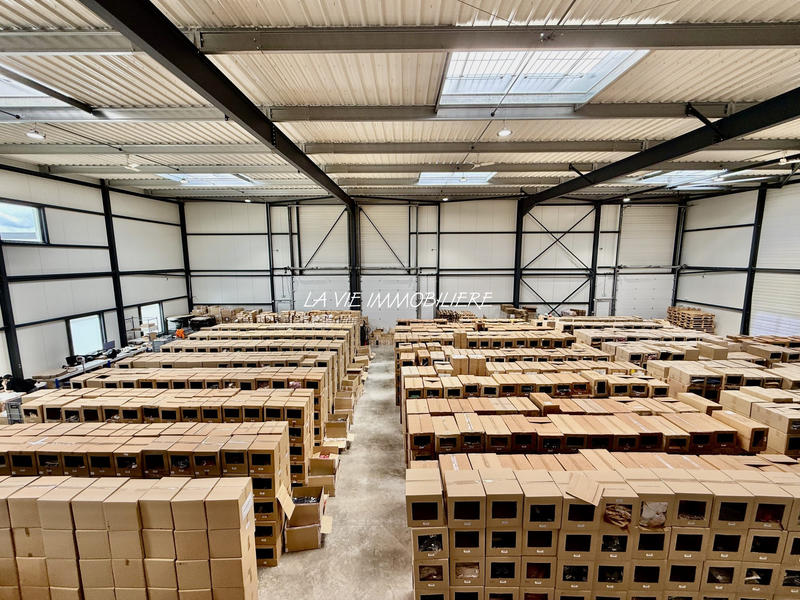 Entrepôt - 1 223 m²