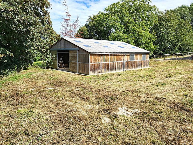 Terrain - 12 784 m²