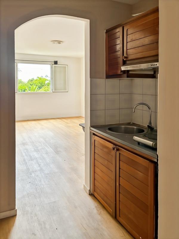 Studio - 25 m² - 1 pièce