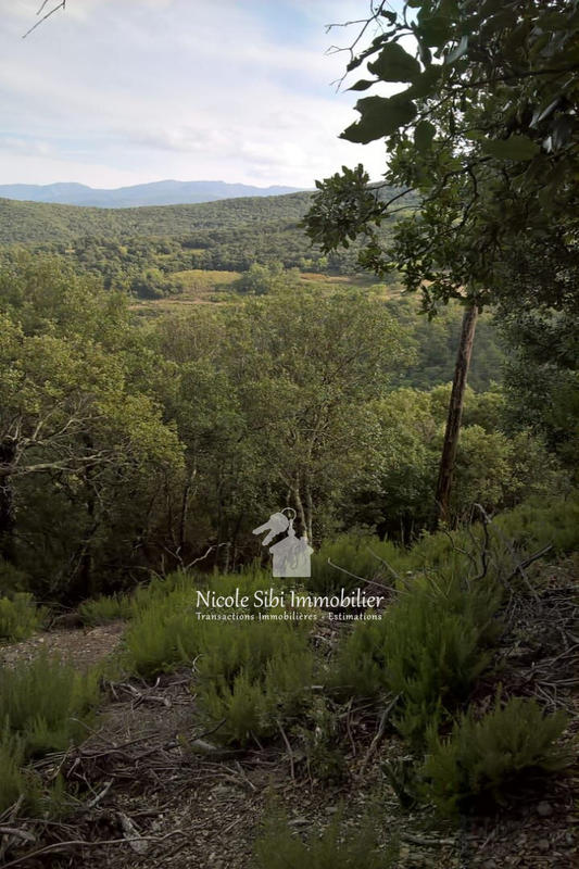 Terrain - 106 625 m²