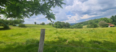 Terrain - 11 655 m²