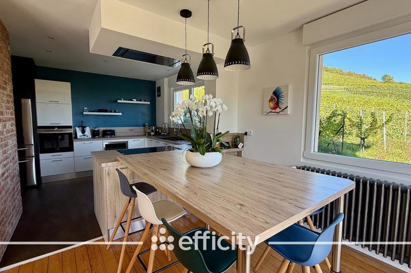 Maison - 383 m² - 12 pièces