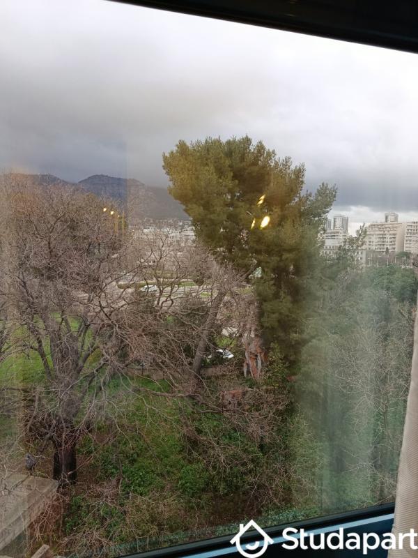 Appartement - 19 m² - 1 pièce