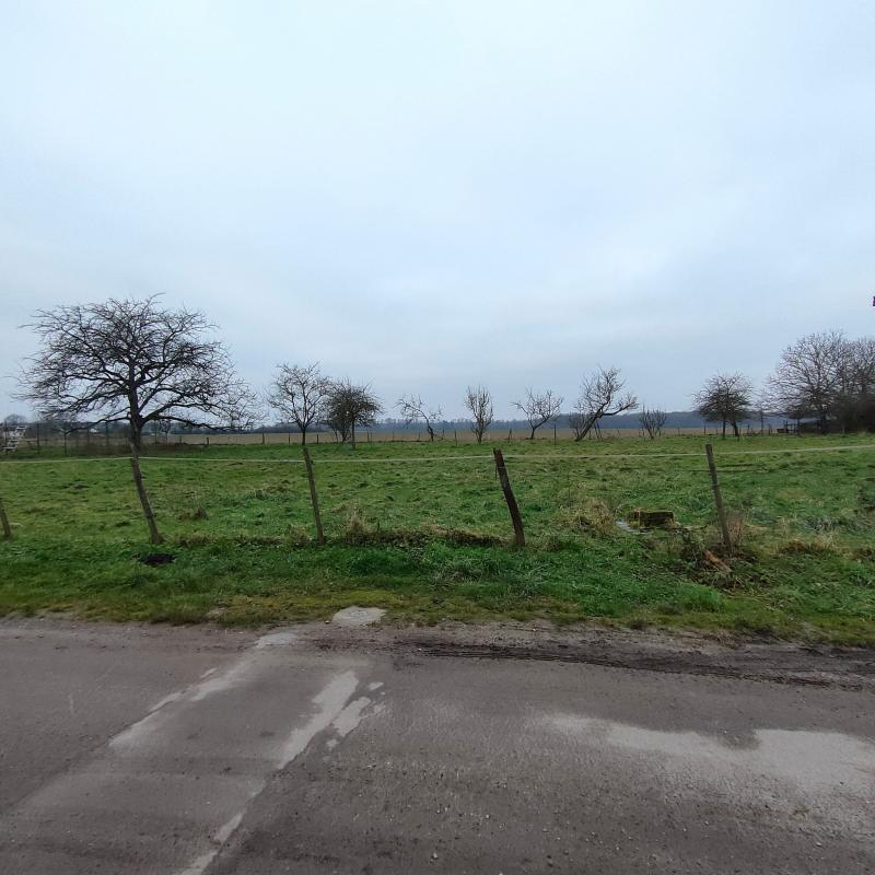 Terrain constructible - 3 000 m²