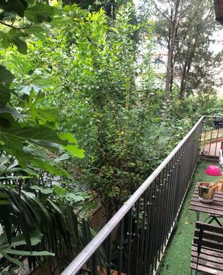 Appartement - 21 m² - 1 pièce