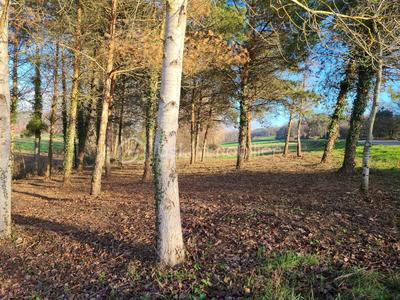 Terrain constructible - 1 000 m²