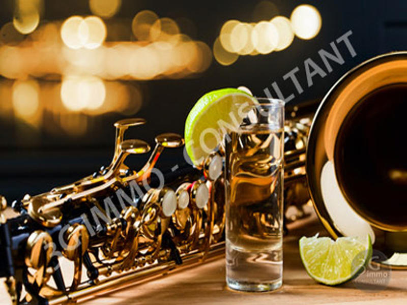 Fonds de commerce - Magasins - 550 m²