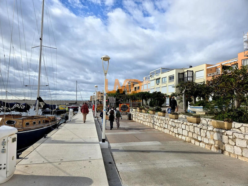 Studio - 30 m² - 1 pièce