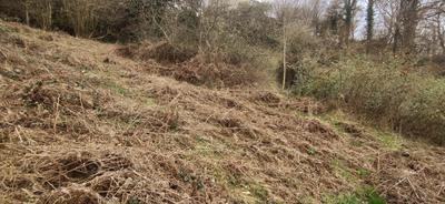 Terrain de loisirs - 5 395 m²