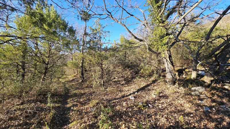 Terrain - 24 790 m²