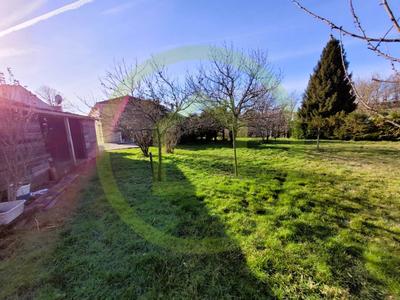 Viager - Maison - 170 m² - 6 pièces