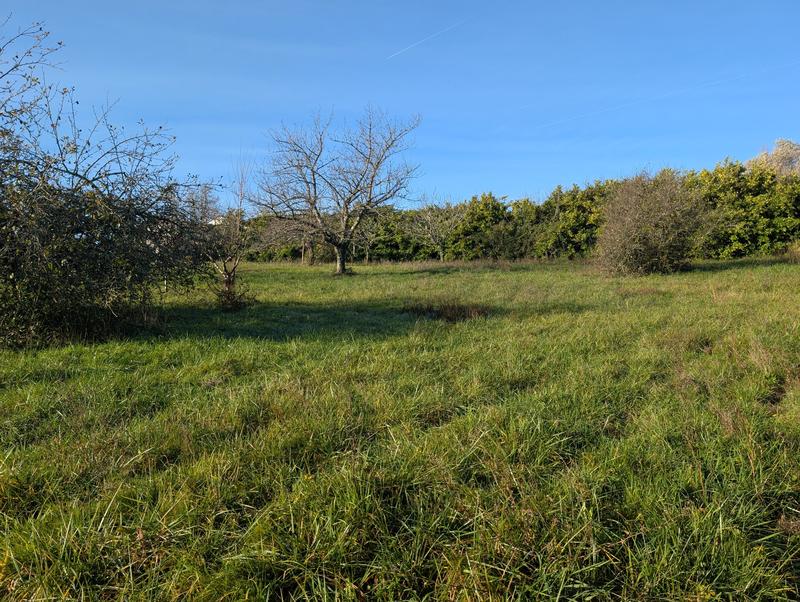 Terrain constructible - 1 001 m²