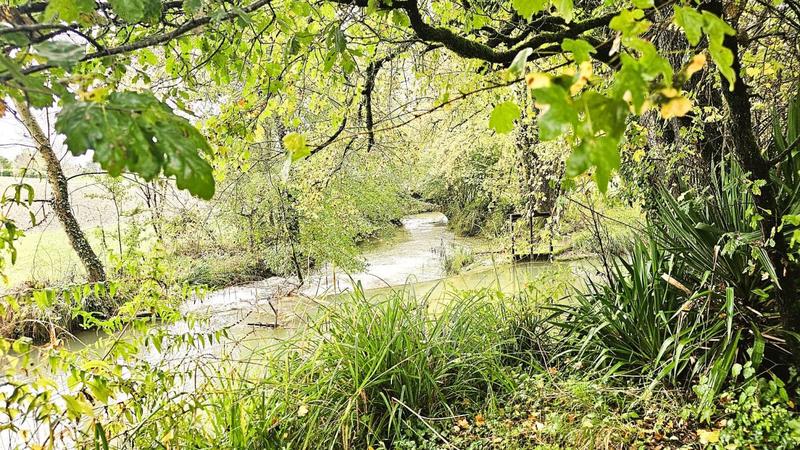 Propriété - 206 m² - 10 pièces