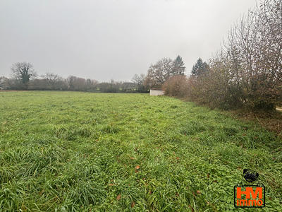 Terrain - 12 000 m²