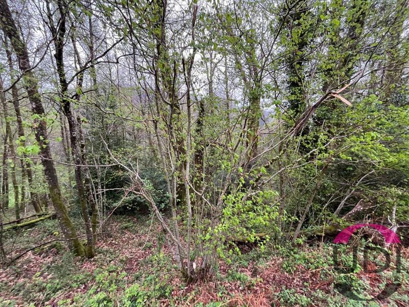 Terrain - 31 689 m²