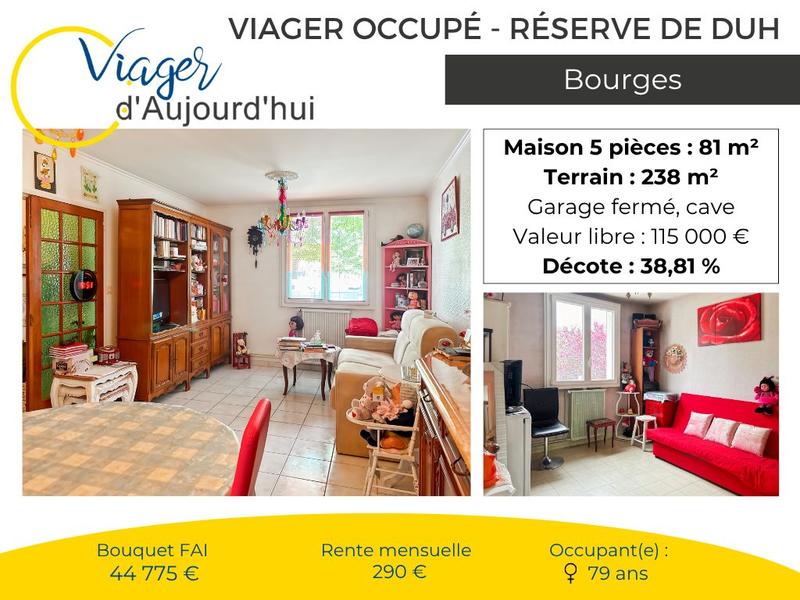 Viager - Maison - 81 m² - 5 pièces