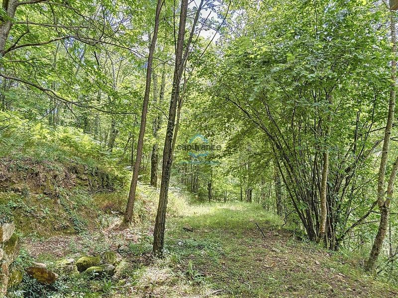 Propriété - 145 m² - 4 pièces