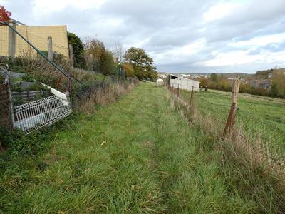 Terrain constructible - 10 000 m²