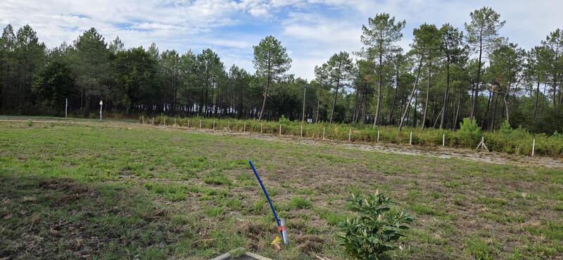 Terrain constructible - 364 m²