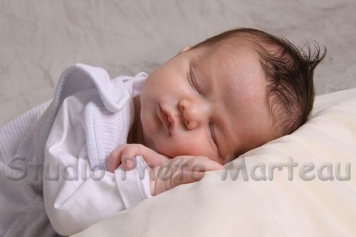 Studio Photo Marteau