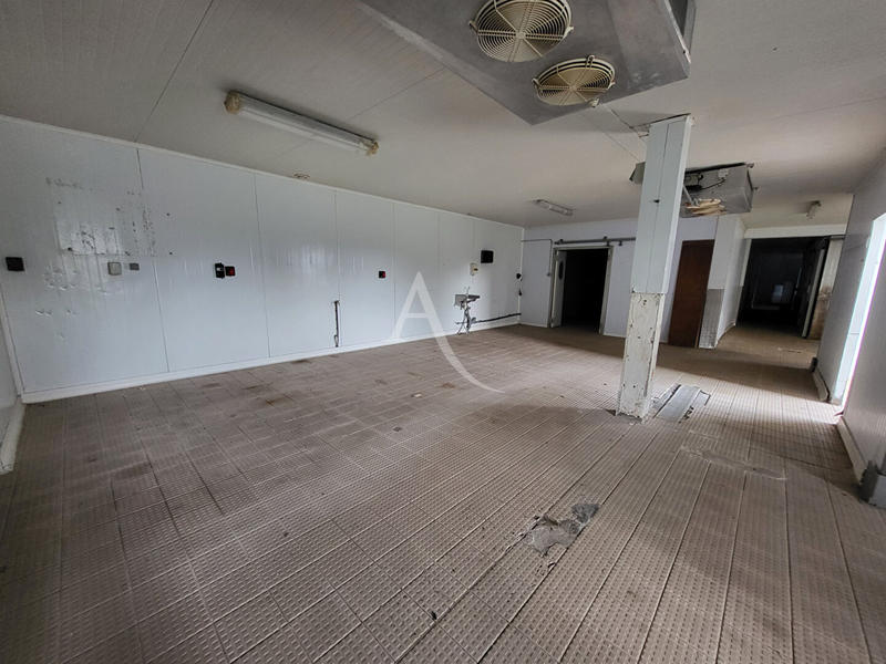 Local d'activité / Entrepôt - 1 035 m² - 8 pièces