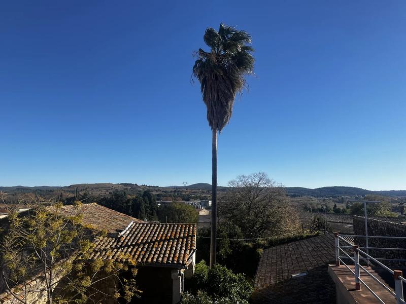 Maison - 260 m² - 9 pièces