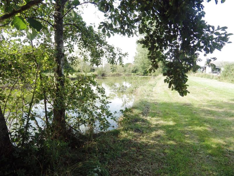 Terrain - 12 496 m²